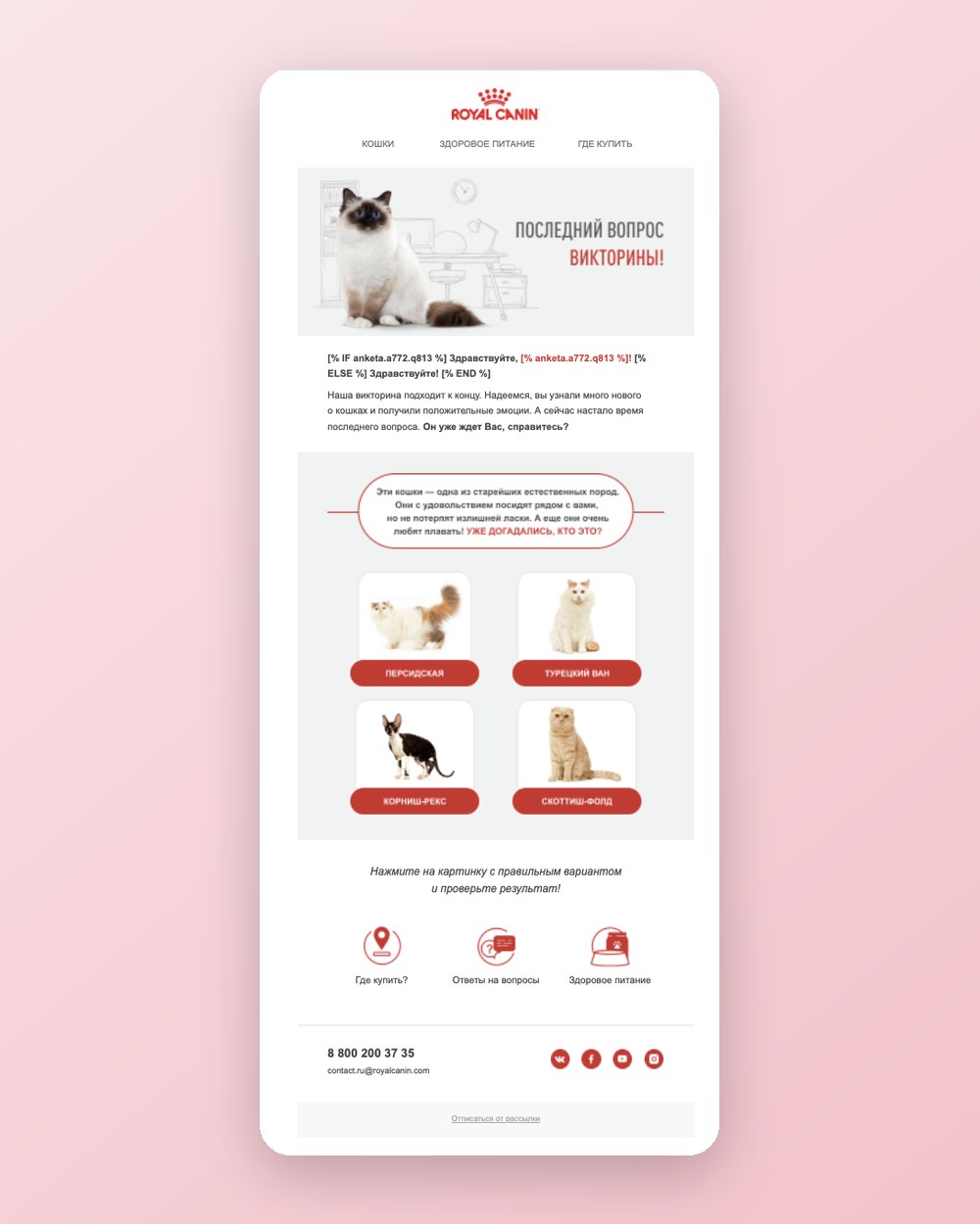Email creative